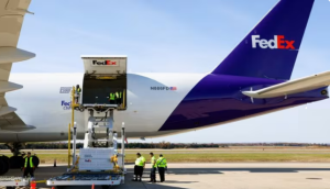 China's Panda Diplomacy Returns to U.S. as Symbol of Thawing Relations and Economic Strategy