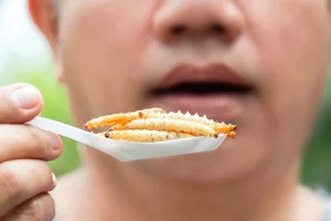 Singapore has approved 16 types of insects for food. Photo: Shutterstock