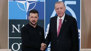 Erdogan's discussion with Zelensky about Russia at the NATO summit